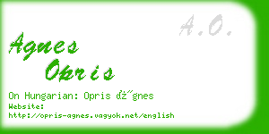 agnes opris business card